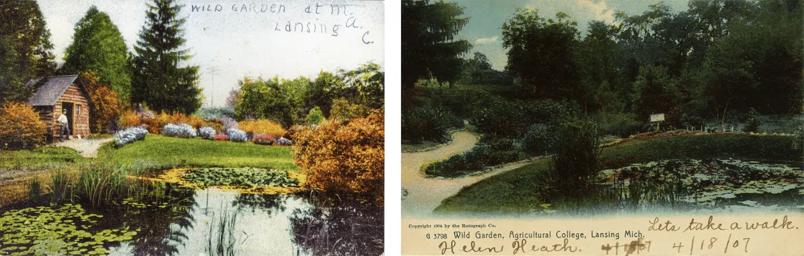 two historical color postcards of the garden