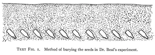 Diagram depicting the burial method of the Beal experiment bottles