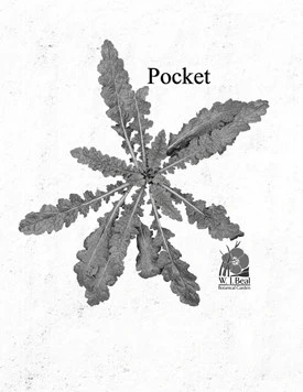Pocket Journal cover art